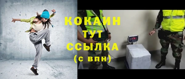 крисы Дегтярск