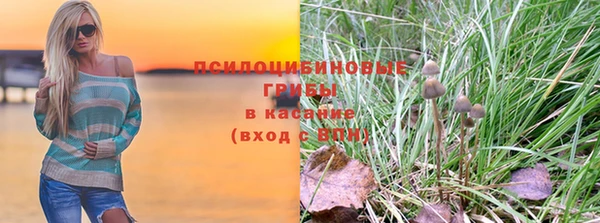 СК Алексеевка