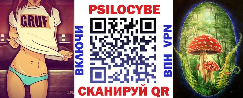 Галлюциногенные грибы Psilocybe  Тосно 
